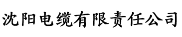 亚洲欧美日韩一区二区三区在线电缆厂logo